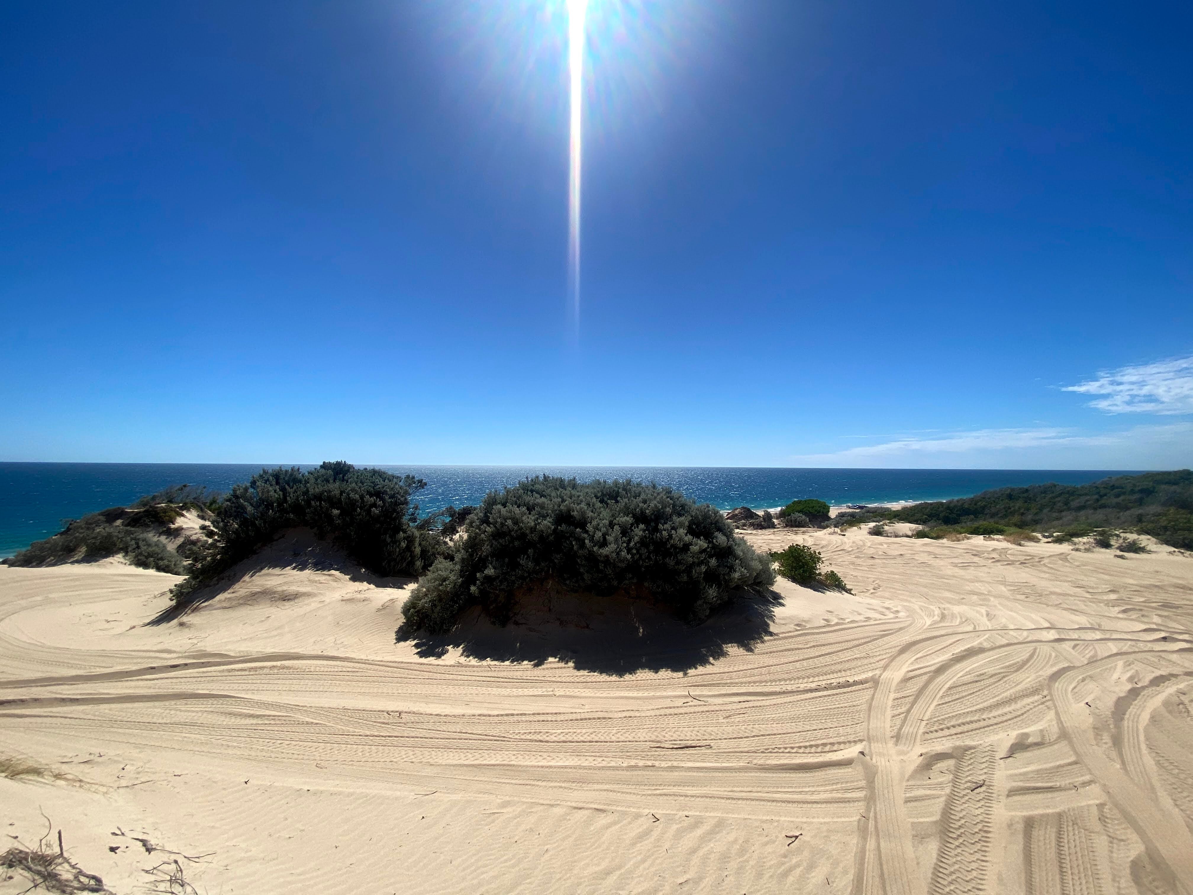 Sand tracks and scrub land on a sunny day