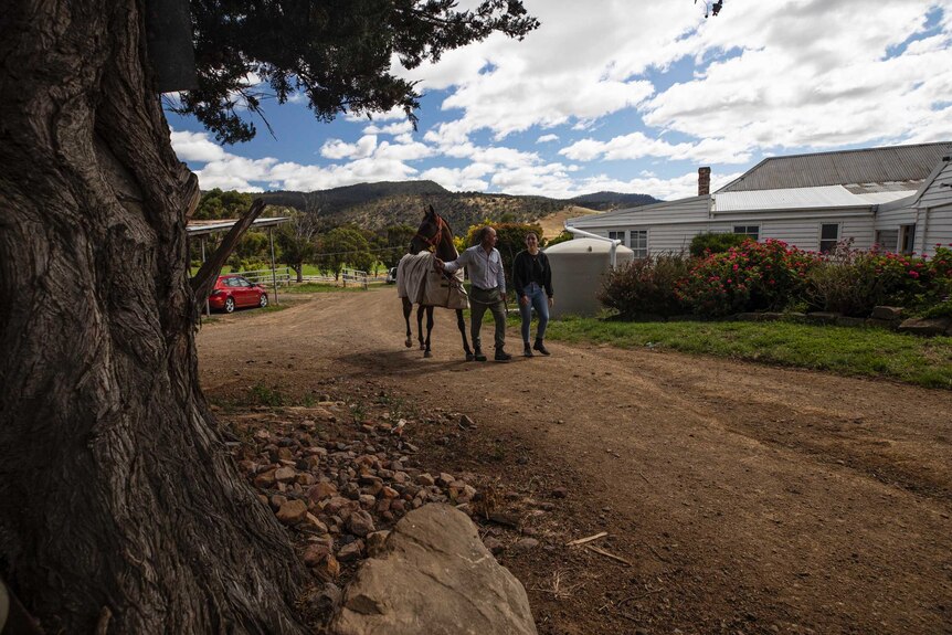 Horse trainer Brendan McShane leads a horse along a driveway with daughter Lucy by his side