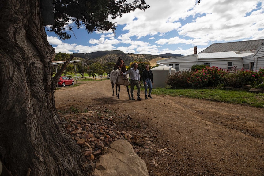 Horse trainer Brendan McShane leads a horse along a driveway with daughter Lucy by his side