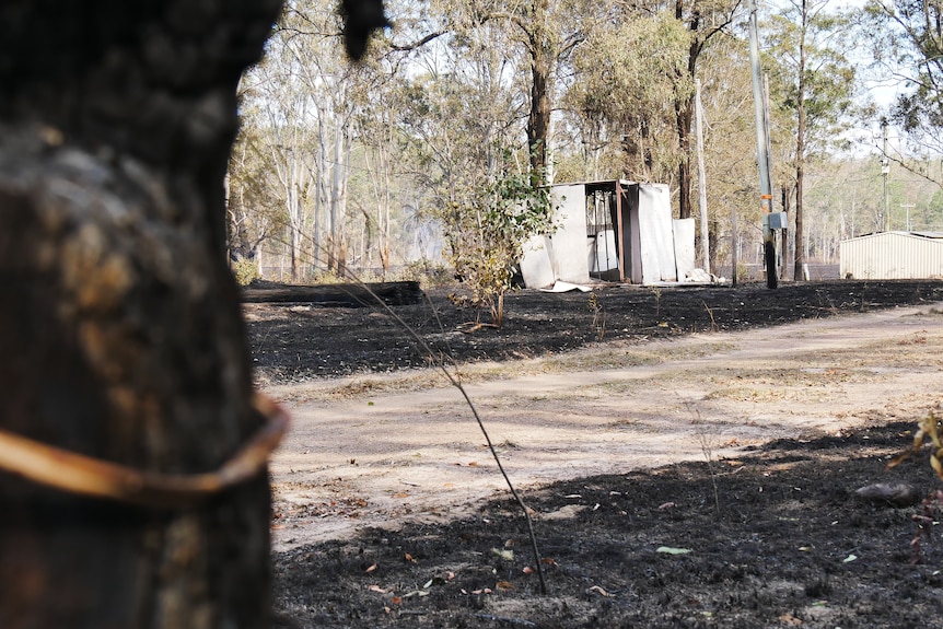 A burnt tree in the foreground and burnt sheds in the background.