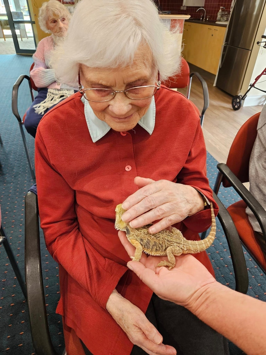 An older woman in red pets a yellow bearded dragon.