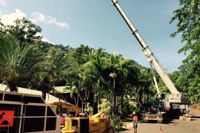 Crane removes tree from home