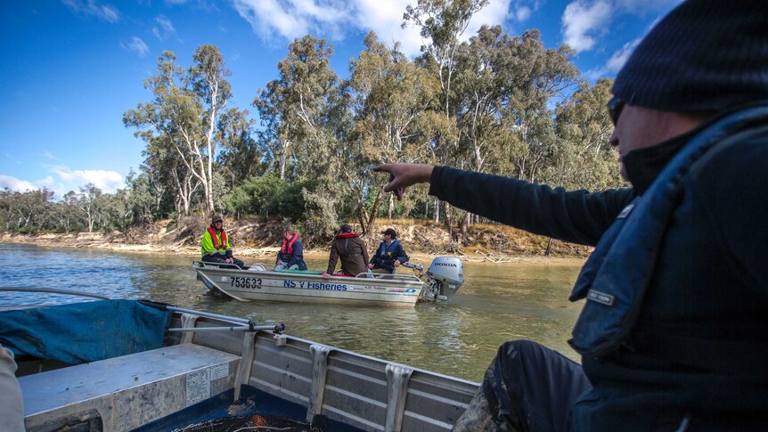 Two mental boats with fishermen and scientists on board head down the Murray River.