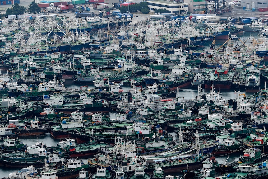 Ships and shipping containers crowded in a sea port
