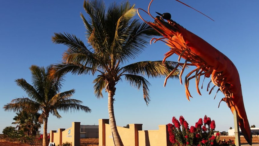 The big prawn moves to Exmouth town centre today