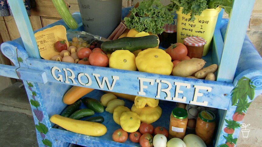 Blue painted shelves filled with fruit and vegetable with 'Grow Free' hand-painted in white