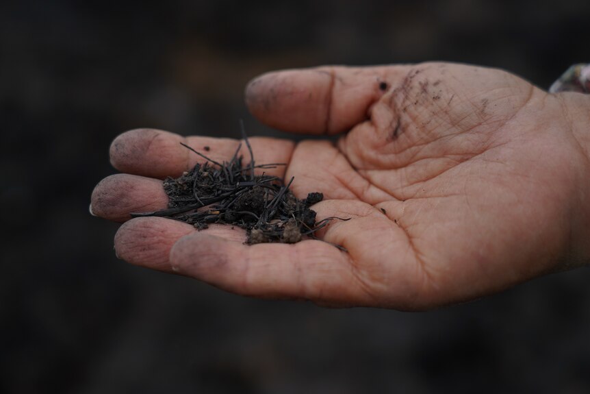 A hand holding black dirt.