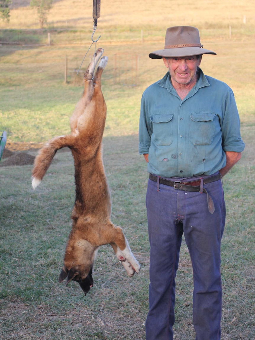 A man in a hat stands next to a deceased wild dog.