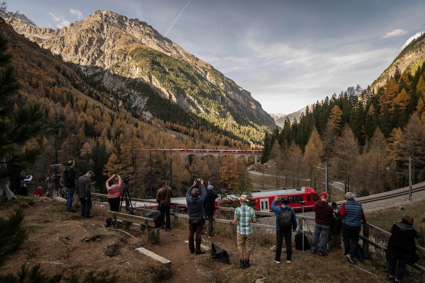 A group of photographers stand on a hill overlooking a red train going past