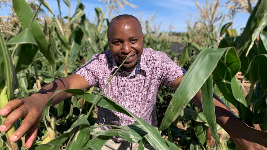 Muhama Yotham standing in a field of green leaves