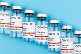 A generic stock photo of a row of COVID-19 vaccines against a blue background.