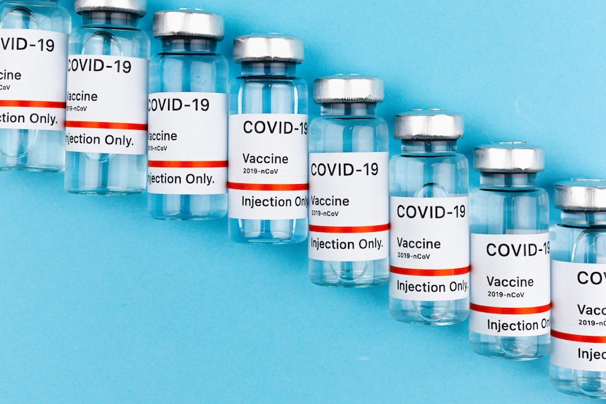 A generic stock photo of a row of COVID-19 vaccines against a blue background.