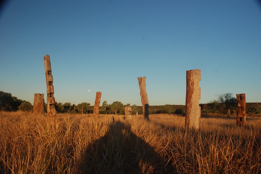 Old posts cast long shadows on open grassy country.