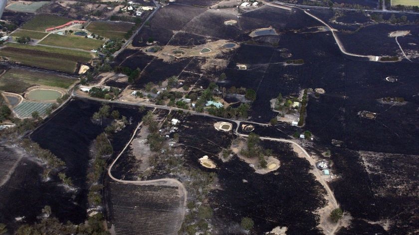 Scorched earth surrounds properties destroyed by bushfires in the town of Kinglake