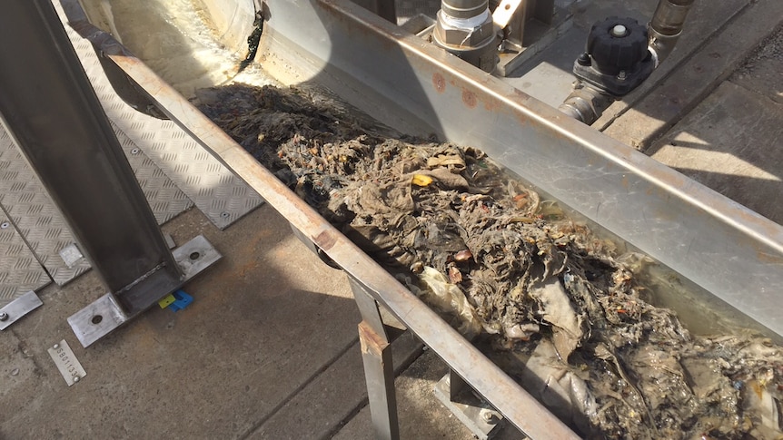 Wet wipes and other solid matter are washed down a waste channel.