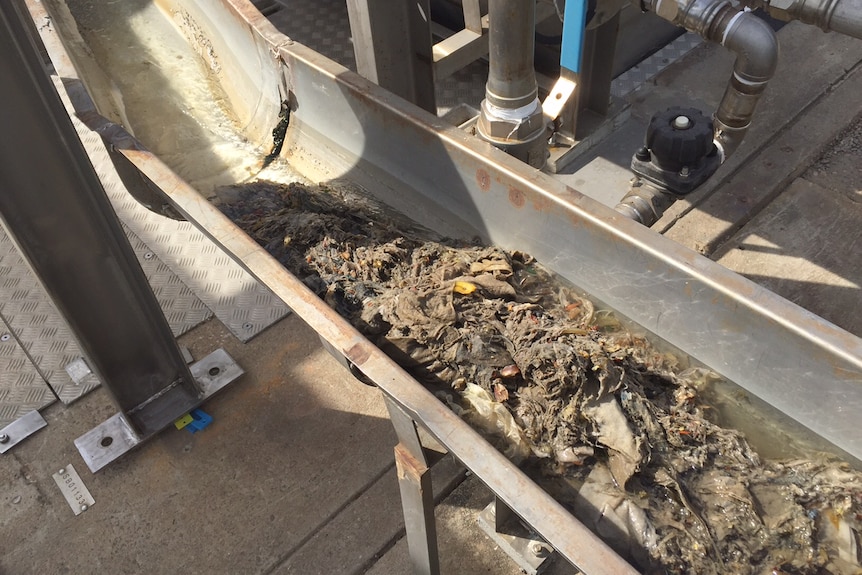Wet wipes and other solid matter are washed down a waste channel.