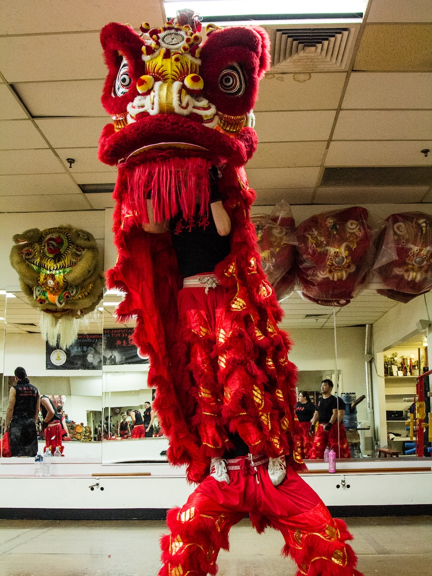 A Chinese lion dance pair striking a standing pose during practice.