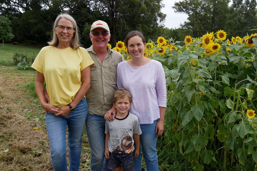 Jenny and Rob Mitchison stand with daughter Jess and grandson in front of sunflower crop.
