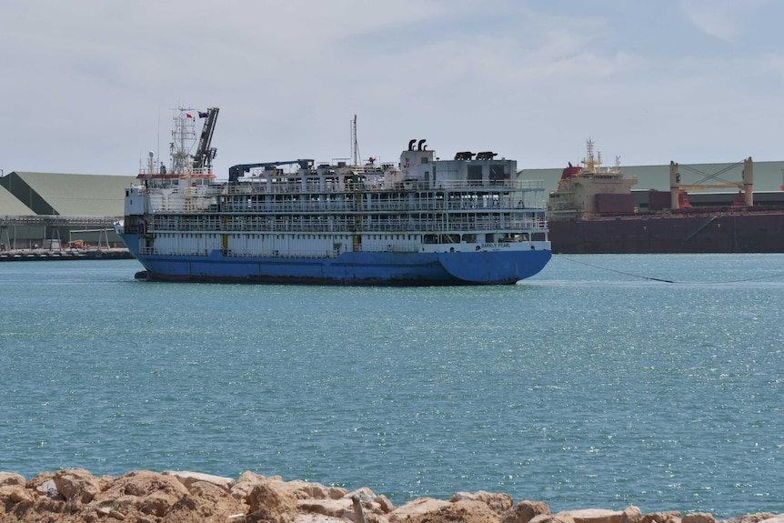 A livestock ship blue at the bottom and white at the top sits in the water at a port.