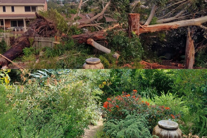 Before and after picture of Judy Hamilton's garden (2020 vs 2022)