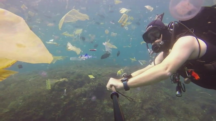 A popular diving spot in Bali is plagued with plastic pollution