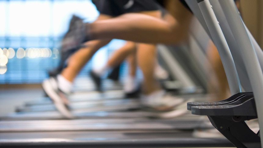 Legs running on treadmills at gym