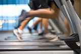 Legs running on treadmills at gym
