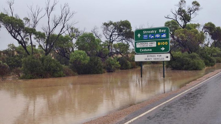Flooded roadside
