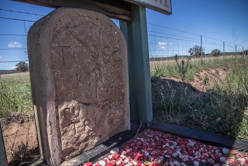 A headstone next to a rural fence.