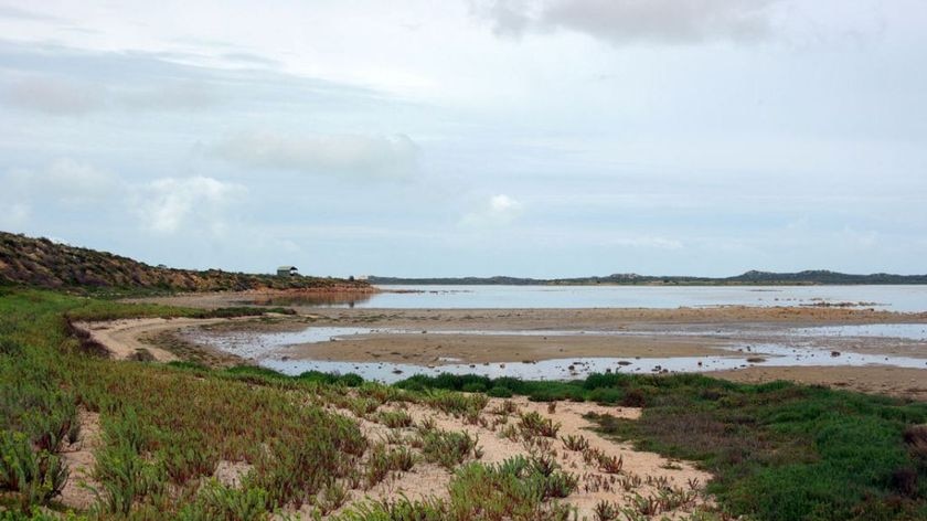 Coorong