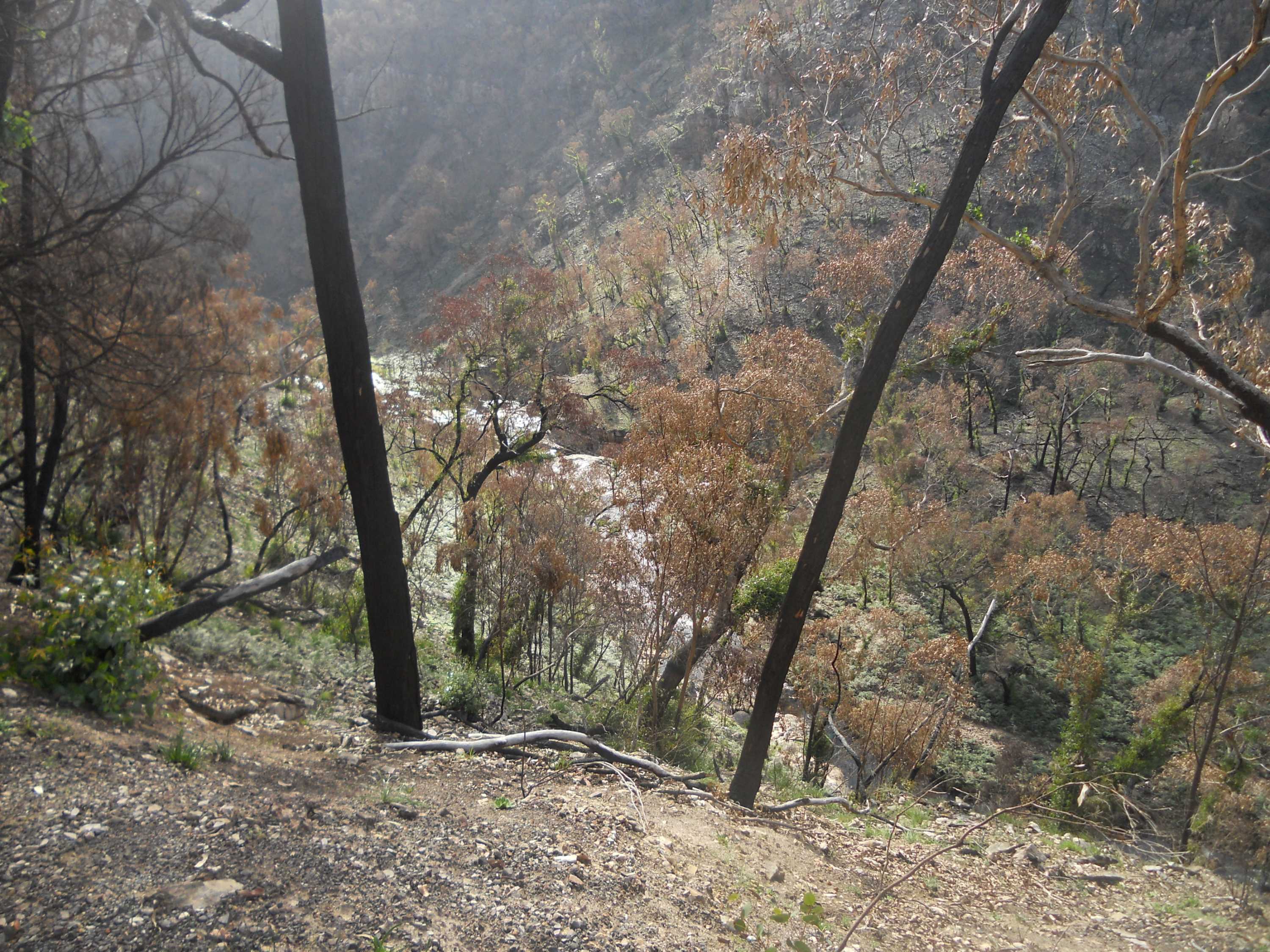 Grampians National Park And Local Communities Slowly Recovering After ...