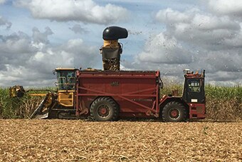 Cane harvester in field on Queensland farm