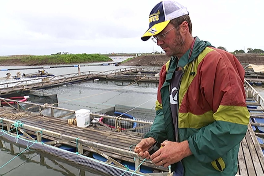 Man working at a fish farm