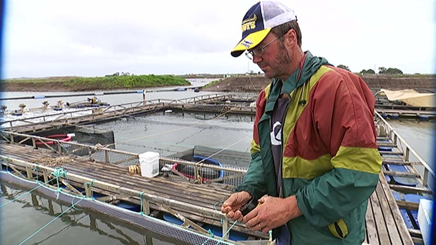 Man working at a fish farm