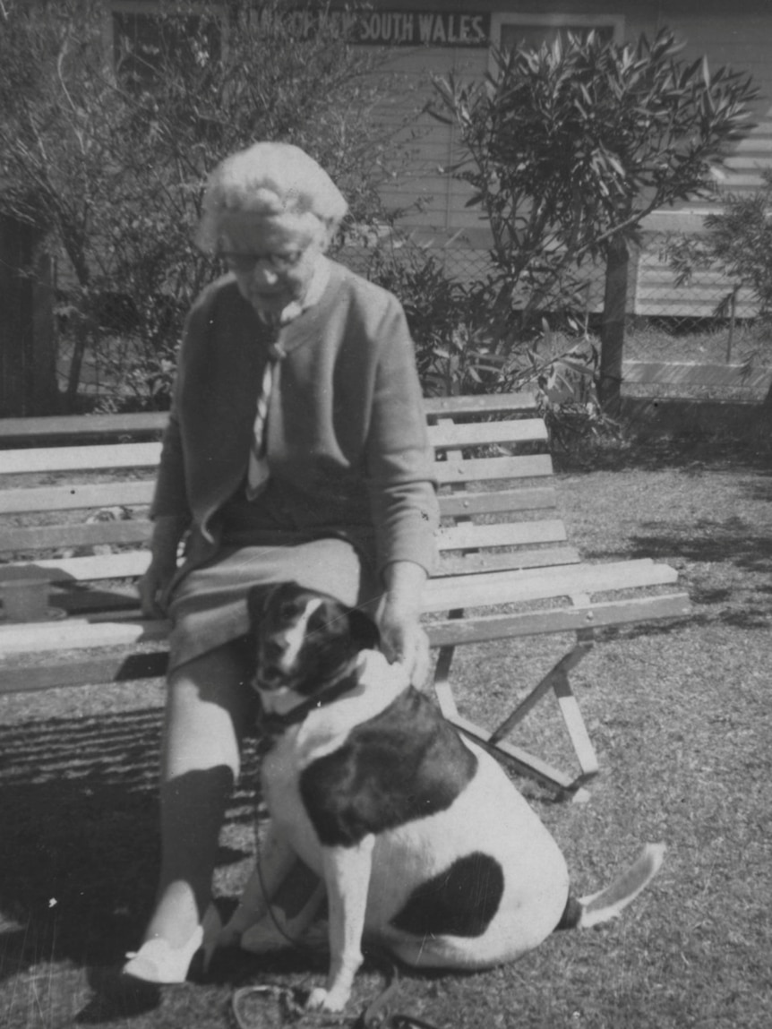 A black and white image of an older woman sitting on a seat outdoors, patting a dog.