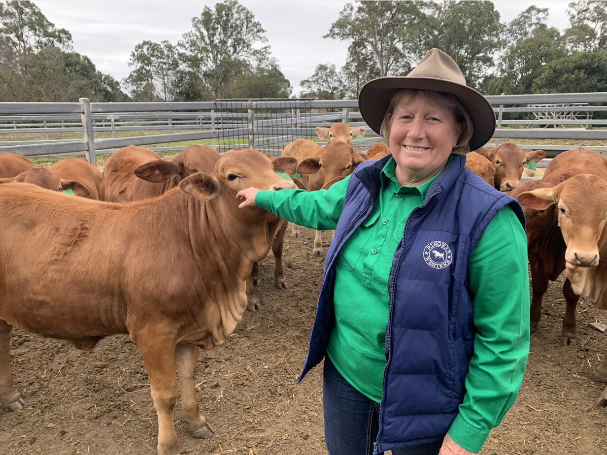 Bronwyn Betts patting a cow. 