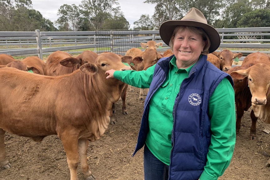 Bronwyn Betts patting a cow. 