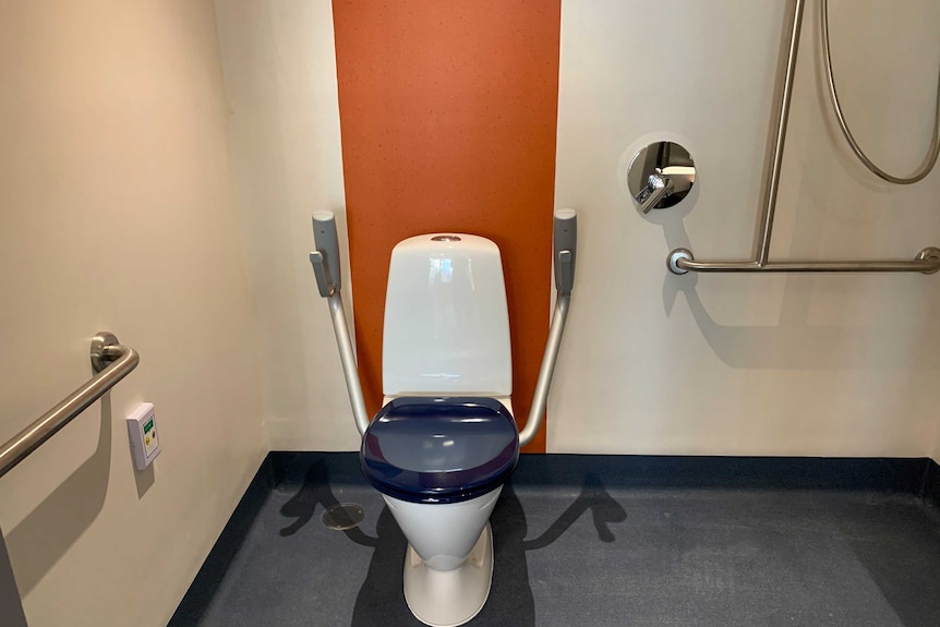 Toilet in nursing home.