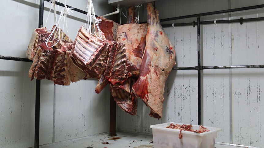 Meat hanging in a cool room at a butchery