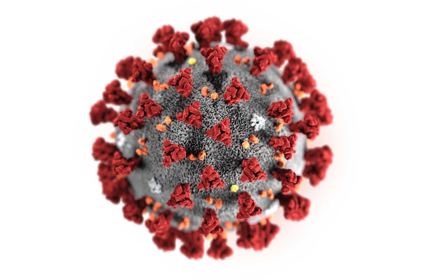 This illustration provided by the Centers for Disease Control and Prevention in January 2020 shows the 2019 Novel Coronavirus.