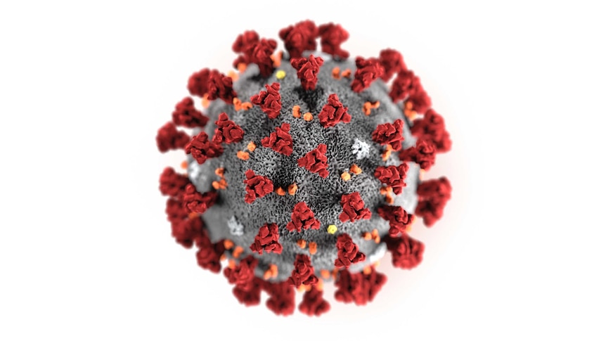Illustration of Novel Coronavirus.