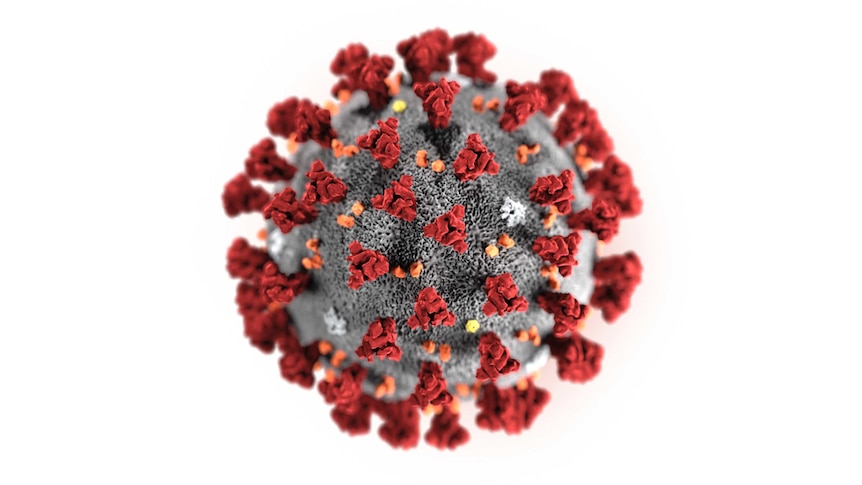 This illustration provided by the Centers for Disease Control and Prevention in January 2020 shows the 2019 Novel Coronavirus.