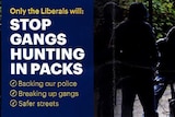 Two pages from a Liberal Party flyer which uses a photo of gang violence in England.