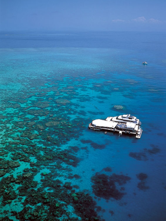 Under threat...Queensland's Great Barrier Reef.