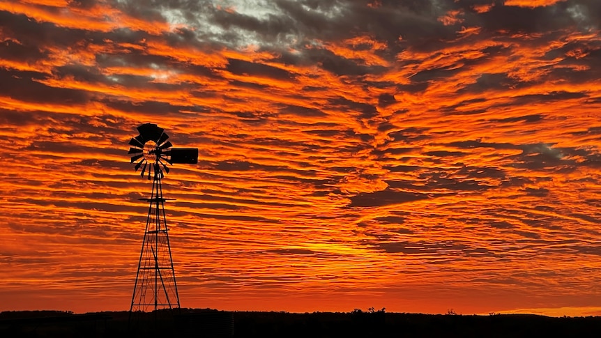 Southern Cross windmill silhouetted against a vivid orange sunset near Westbook on Queensland's Darling Downs