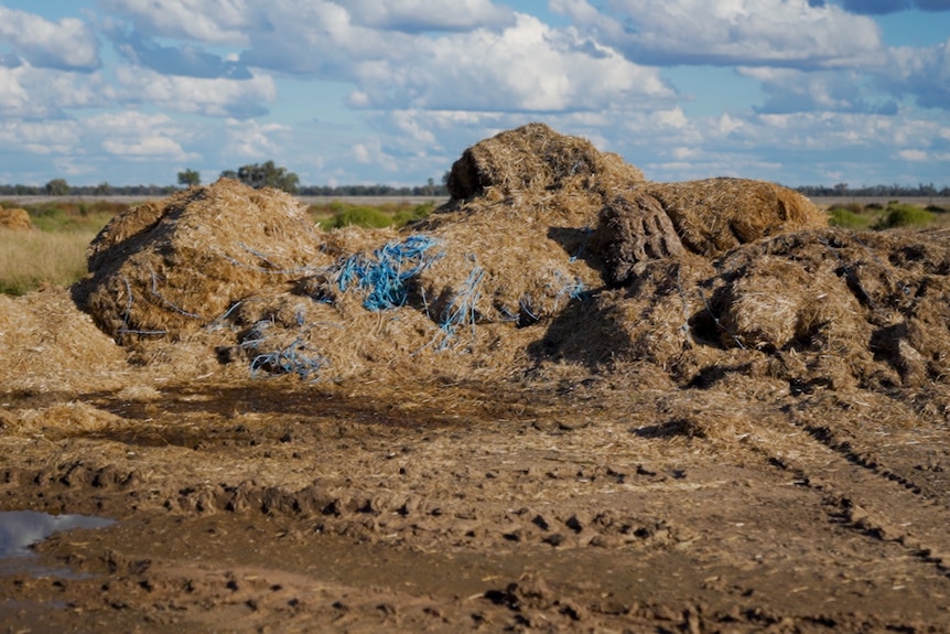 Adam Macrae's destroyed hay.