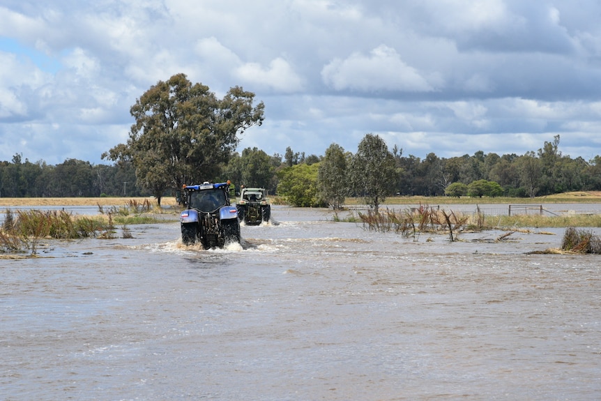 Two tractors drive through brown floodwater.
