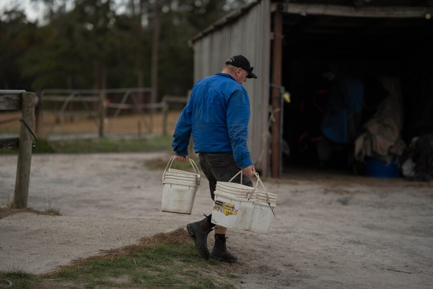 A man carries several white buckets at a stable.