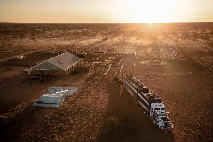 A drone photograph of a shearing shed, fields and loading truck as the sun sets.