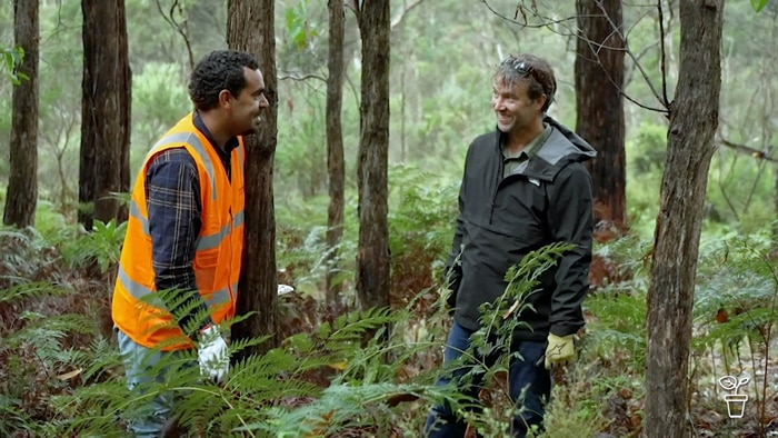 Two men wearing gloves (one in a high-viz vest) in the bush.
